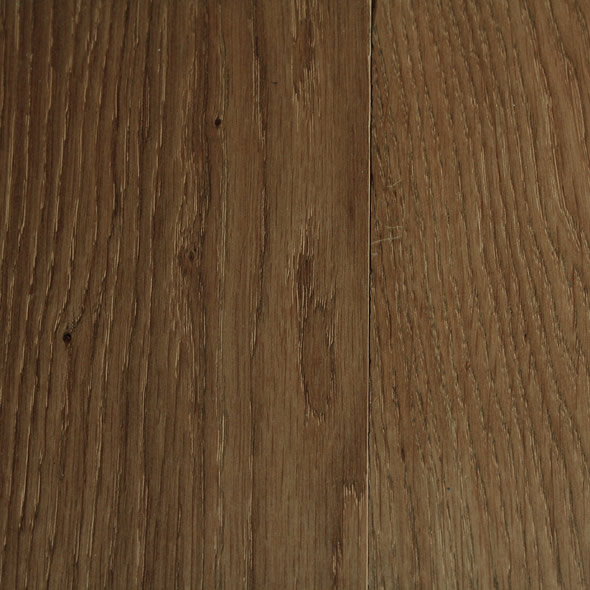 Colour Collection – Honey